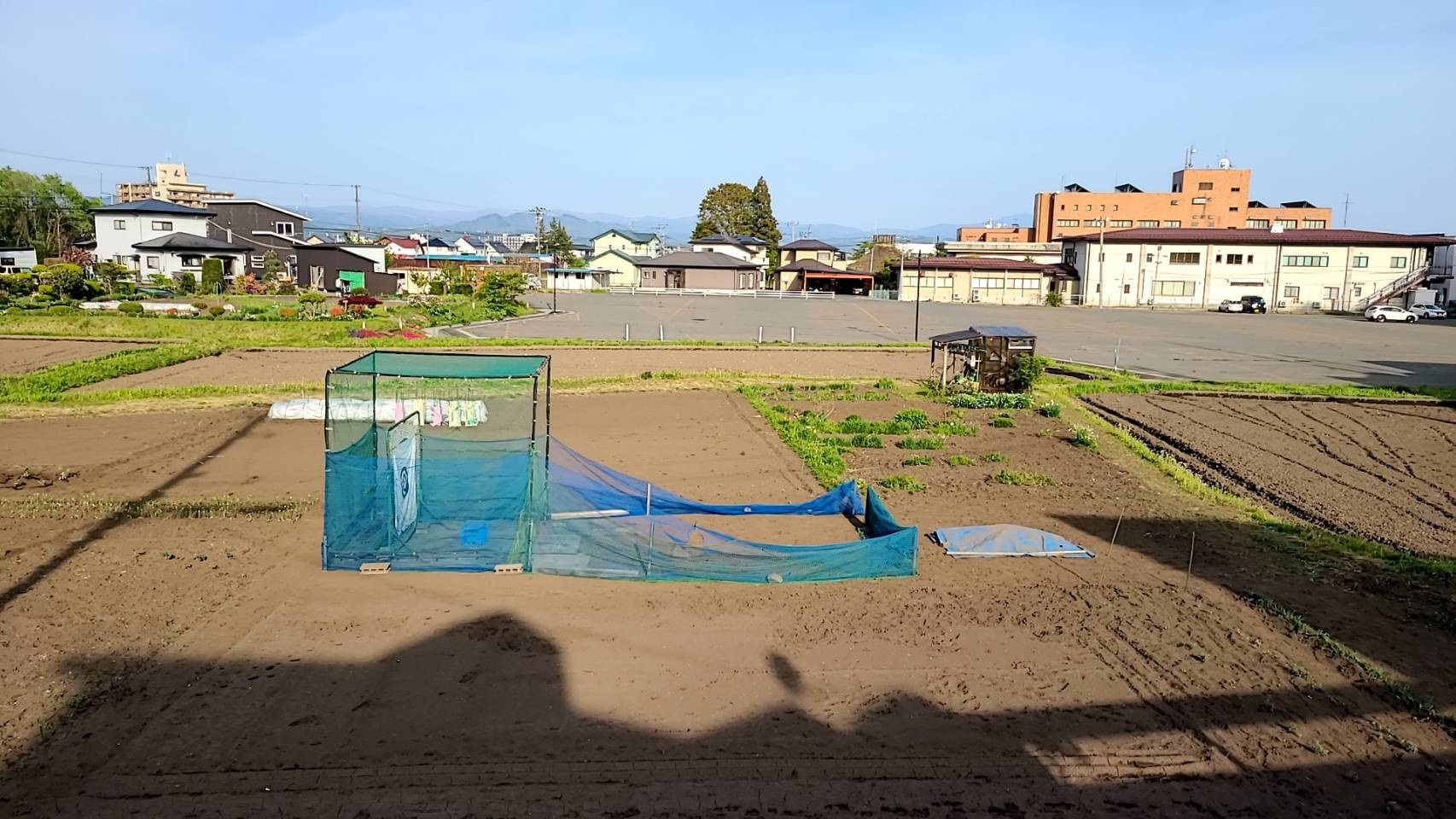 上から見たスイカーズ畑 .jpg